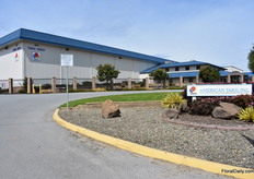 At American Takii in Salinas.